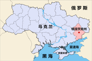 今年5月,卢甘斯克州和顿涅茨克州的分离势力分别组织了地方独立