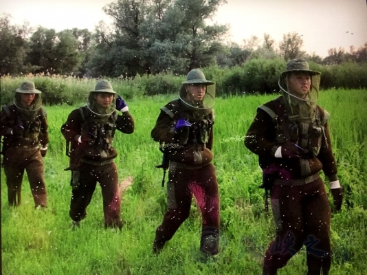 北湾边防连: 蚊虫王国 特殊的 巡逻兵  - 海峡之声